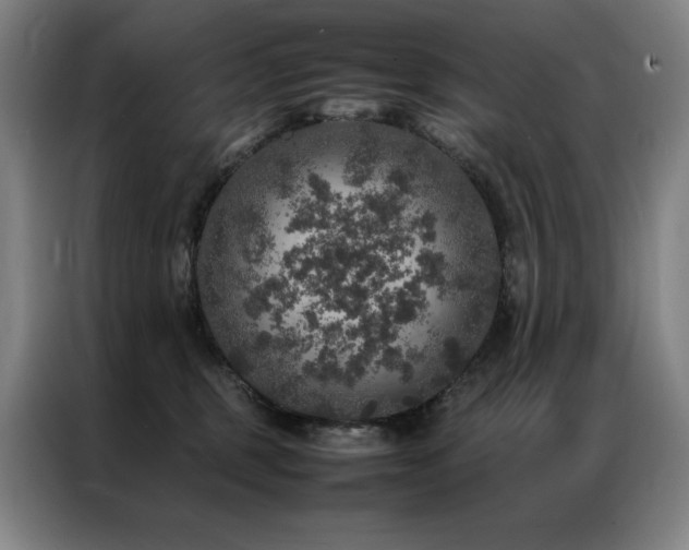 X0000087370375200704201232