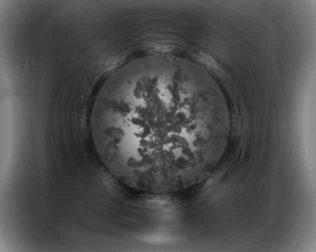 X0000087370377200704201232