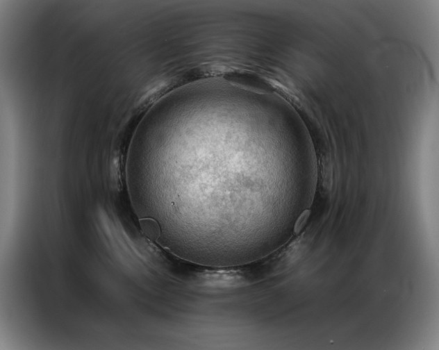 X0000087370378200704201232