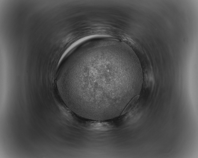X0000087370379200704201232