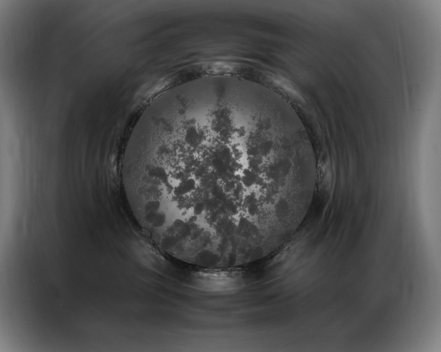 X0000087370381200704201232