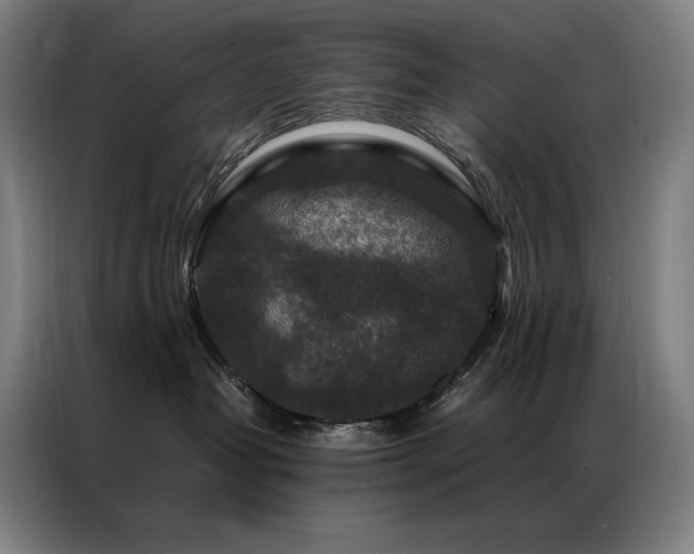 X0000087370382200704201232