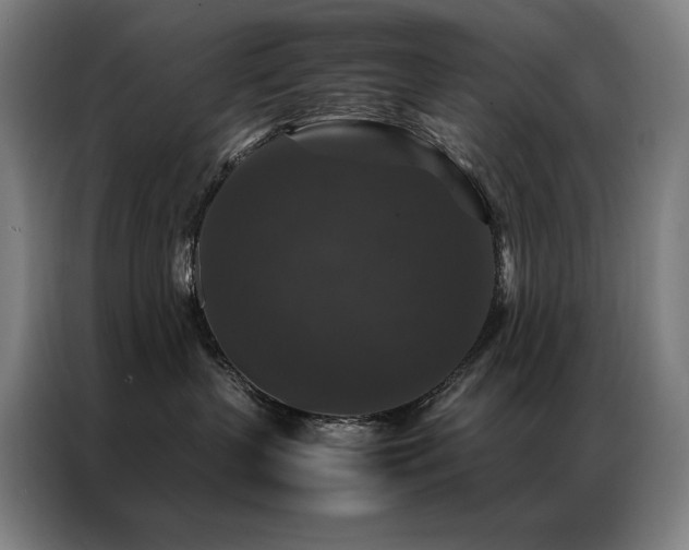 X0000087370383200704201232