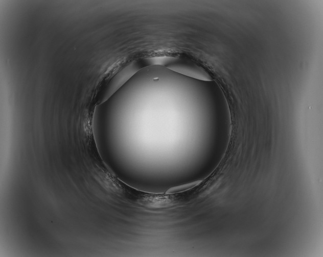 X0000087370384200704201232