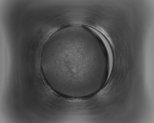 X0000087370385200704201231