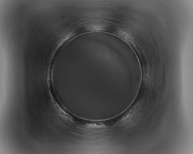 X0000087370386200704201231
