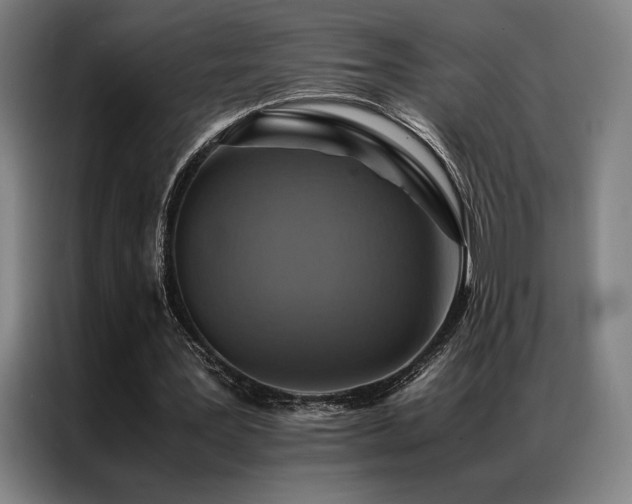 X0000087370387200704201231