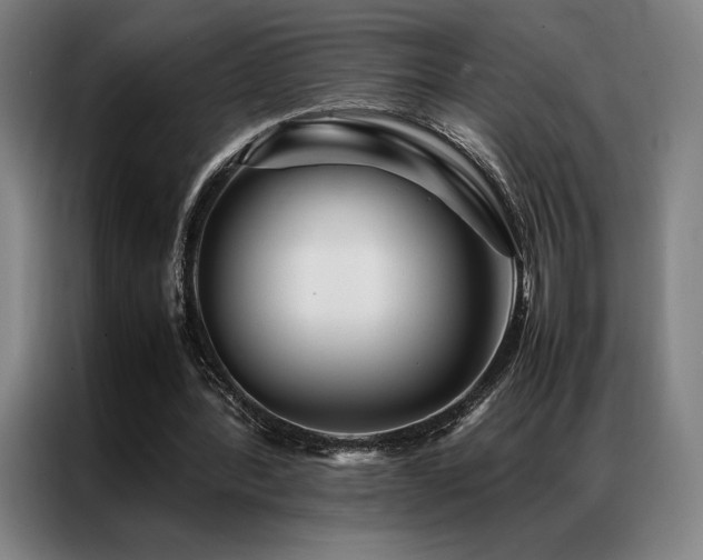 X0000087370388200704201231