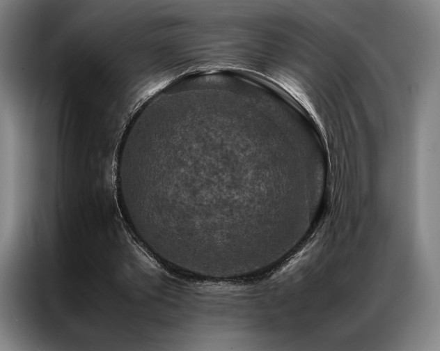 X0000087370389200704201231
