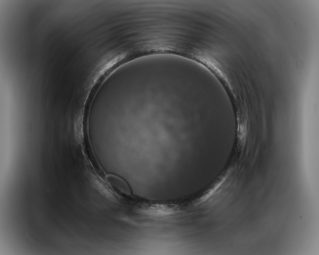 X0000087370390200704201231