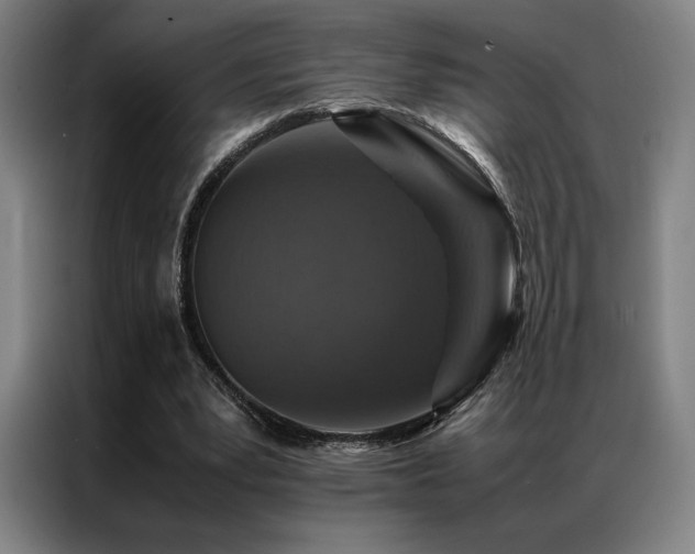 X0000087370391200704201231