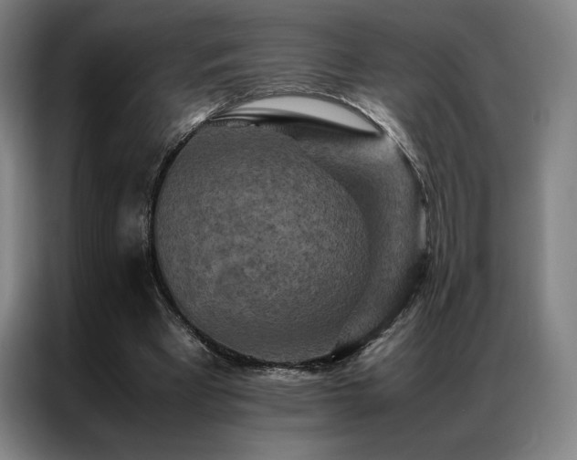 X0000087370393200704201231