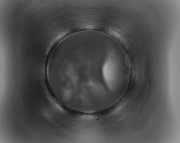 X0000087370394200704201231
