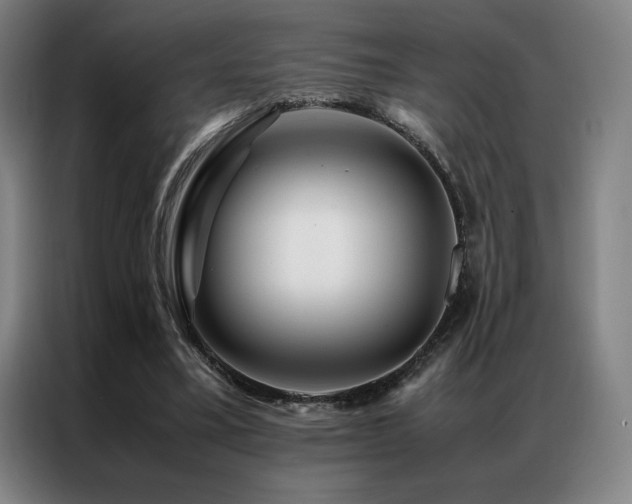 X0000087370395200704201231