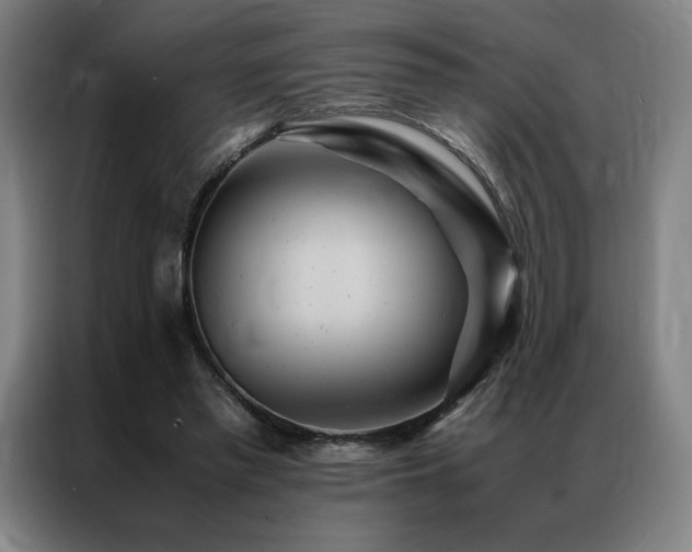 X0000087370397200704201231