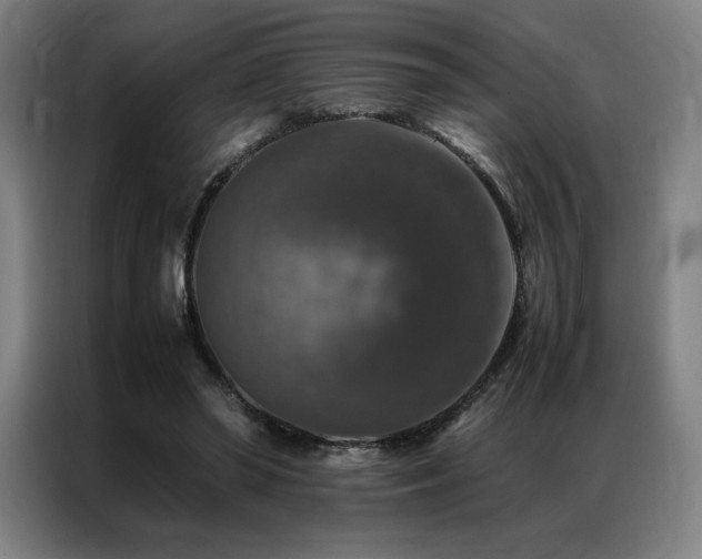 X0000087370398200704201231