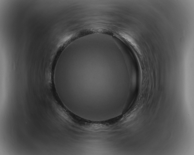 X0000087370399200704201231