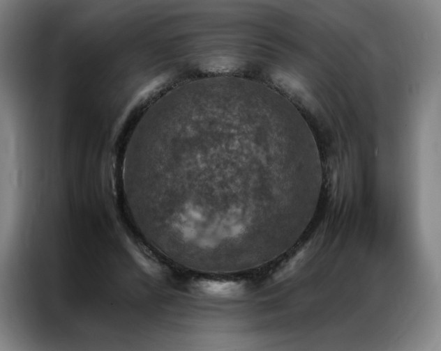 X0000087370400200704201231