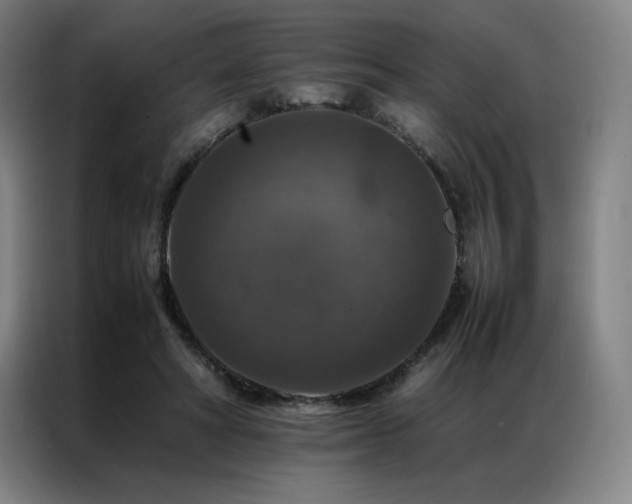 X0000087370402200704201231