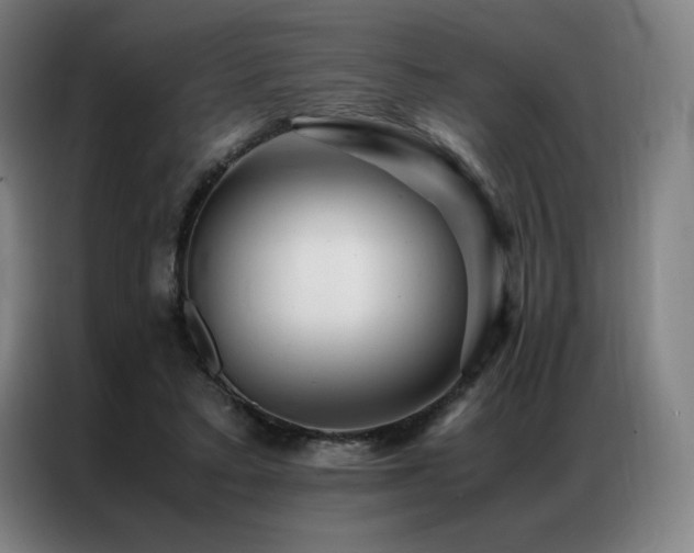 X0000087370403200704201231