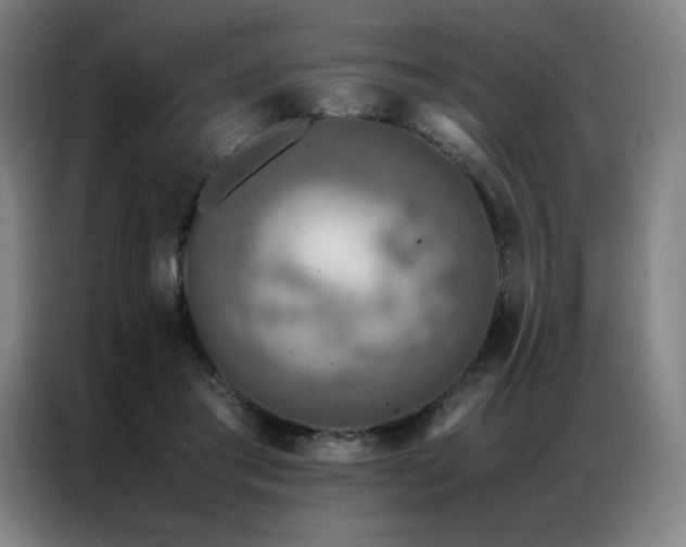 X0000087370405200704201231