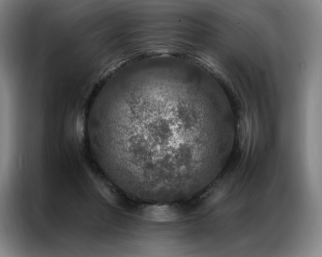 X0000087370406200704201231