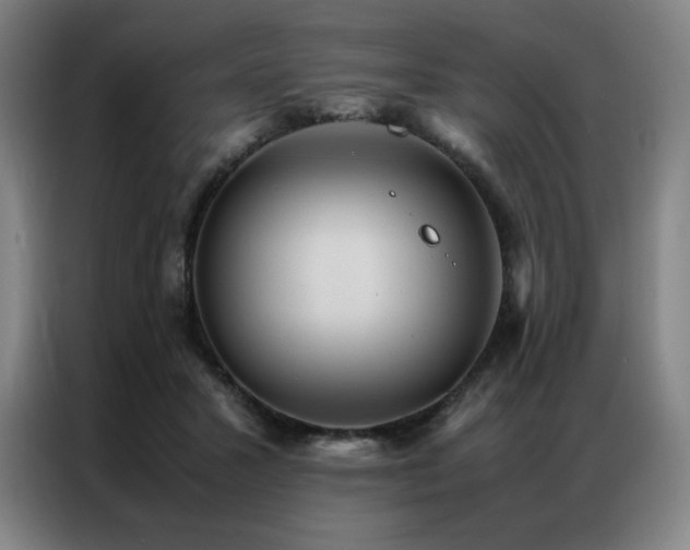 X0000087370407200704201231