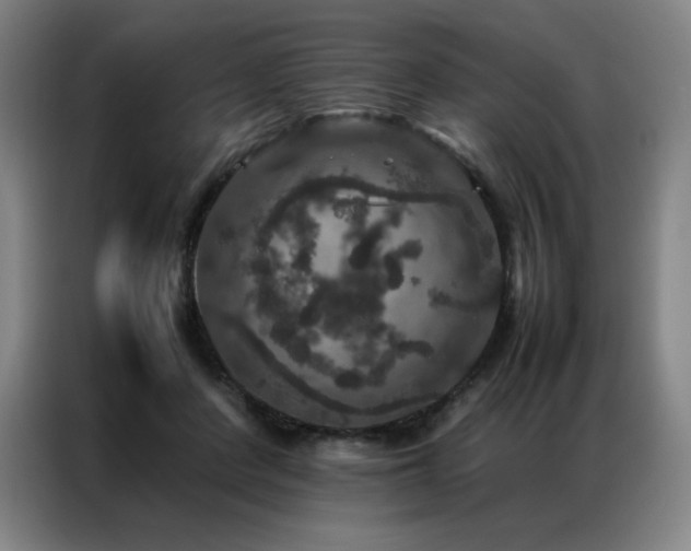 X0000087370408200704201231