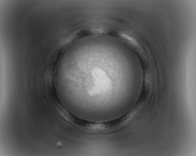 X0000087370409200704201231