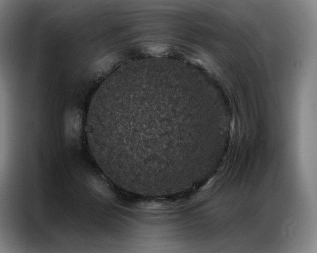 X0000087370412200704201231