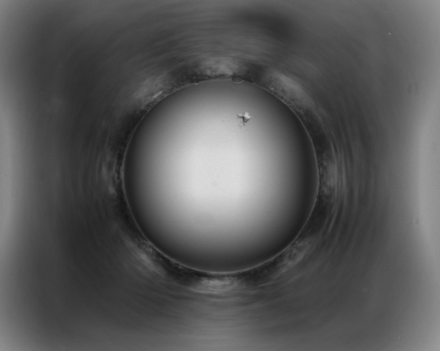 X0000087370414200704201231