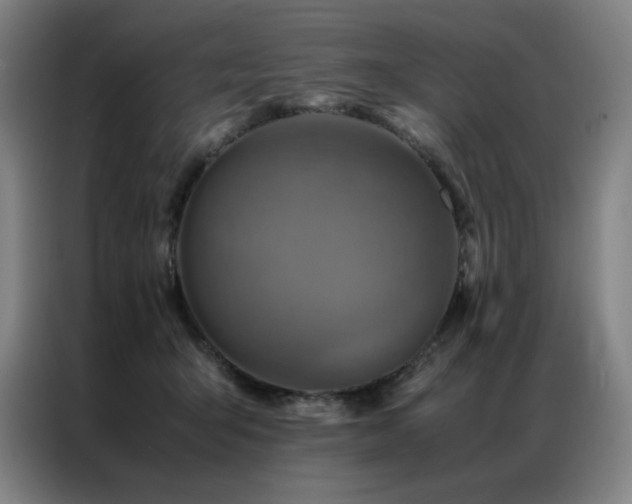 X0000087370415200704201231