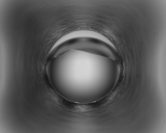 X0000087370417200704201231