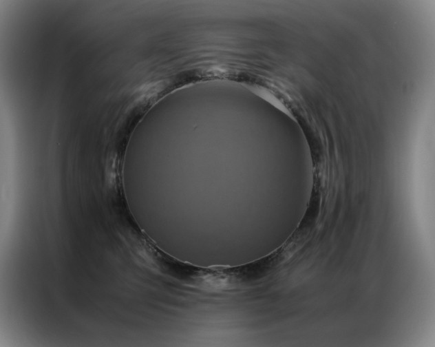 X0000087370423200704201231