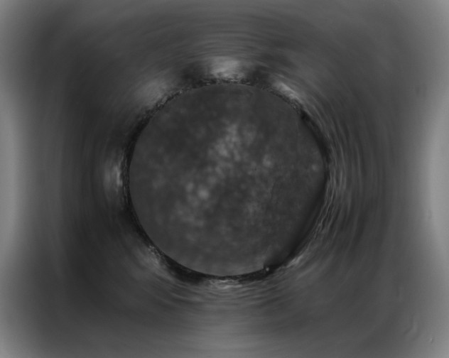 X0000087370424200704201231
