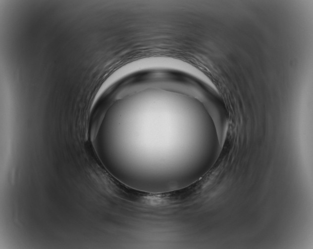 X0000087370425200704201231