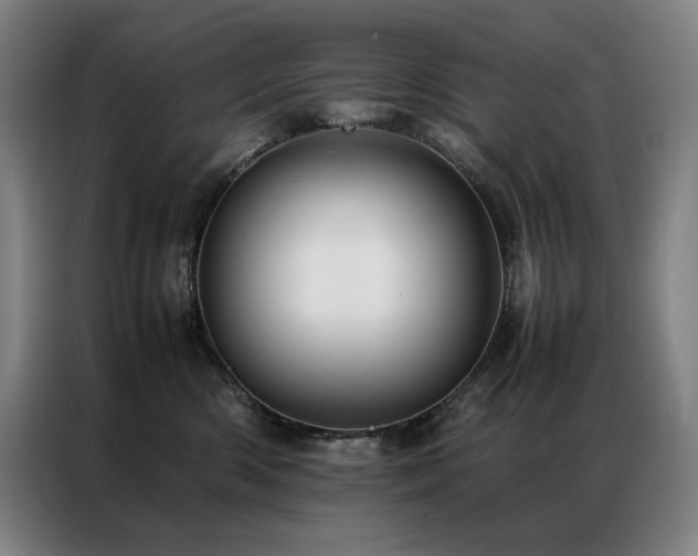 X0000087370426200704201231
