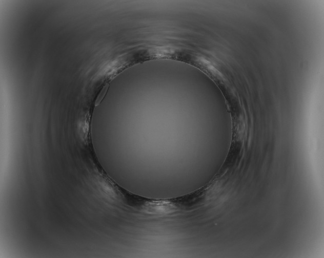 X0000087370427200704201231