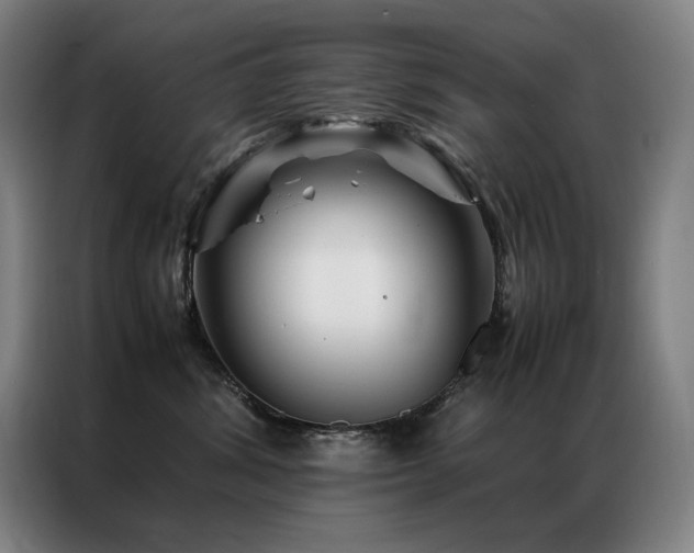 X0000087370428200704201231