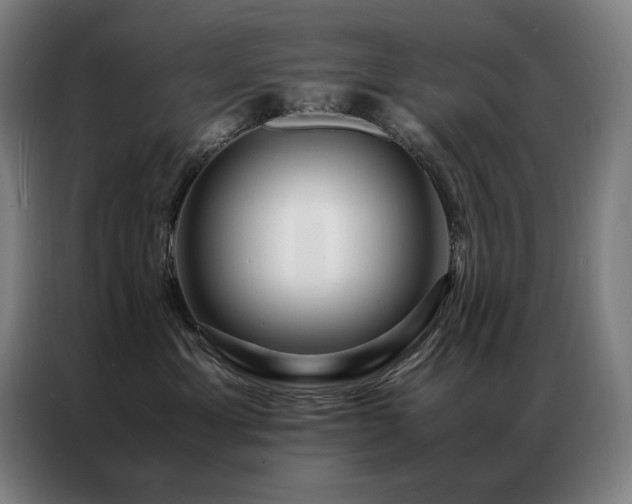 X0000087370429200704201231