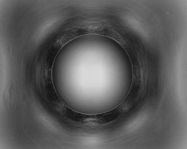 X0000087370430200704201231