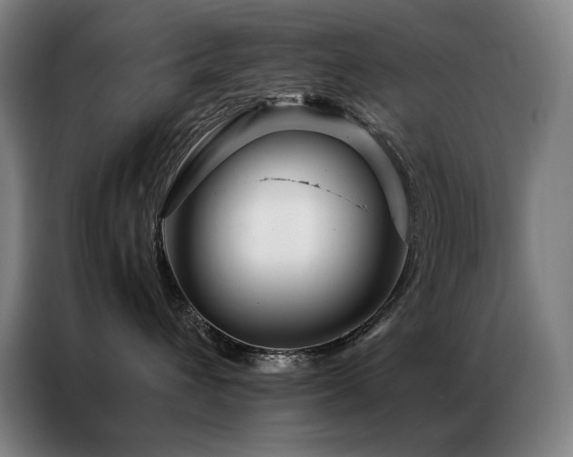 X0000087370432200704201231