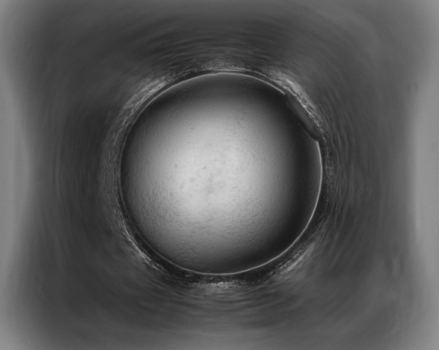 X0000087370433200704201230