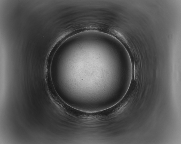 X0000087370435200704201230