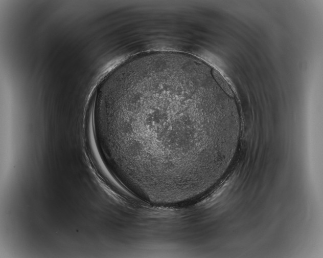 X0000087370437200704201230