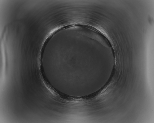 X0000087370438200704201230