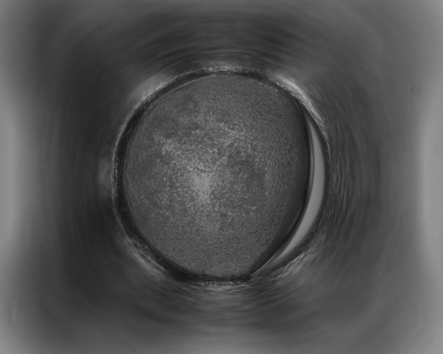 X0000087370439200704201230
