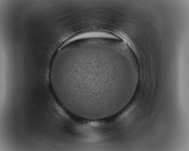X0000087370441200704201230