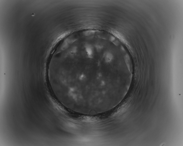 X0000087370442200704201230