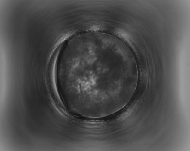 X0000087370443200704201230